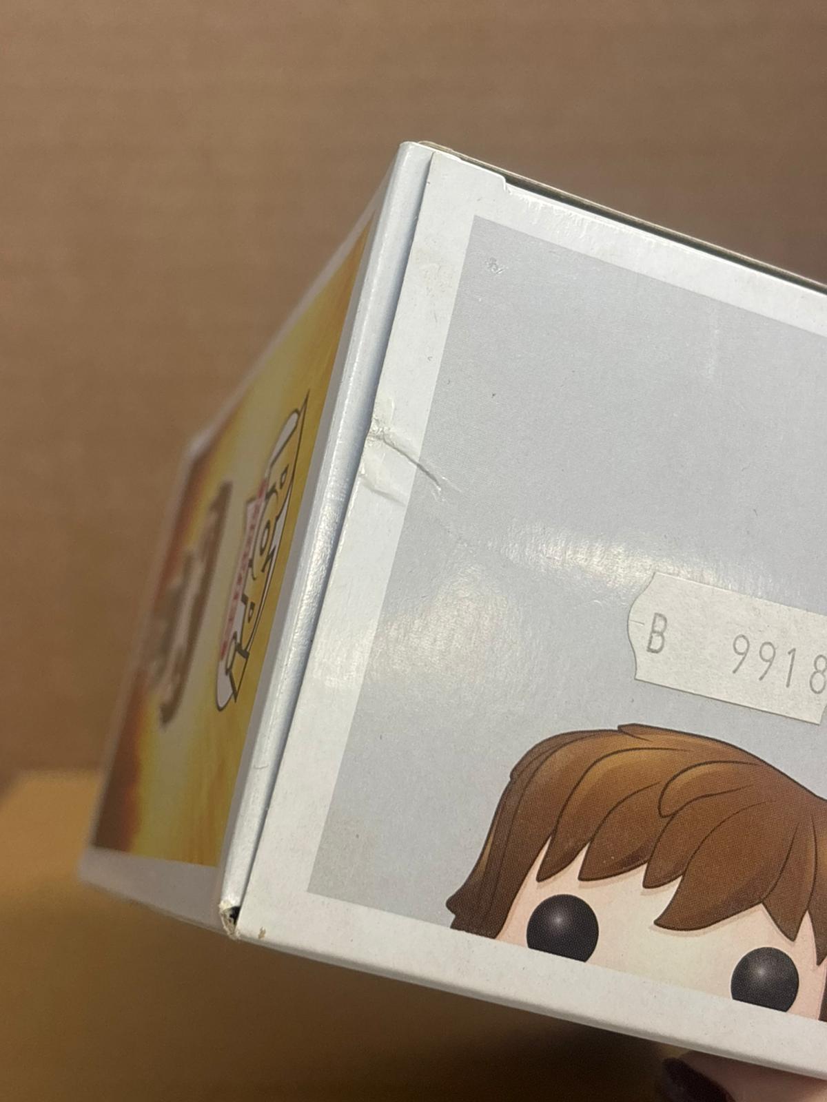 Funko Pop! Movies How To Train Your Dragon 2 Hiccup #95 Free Protector